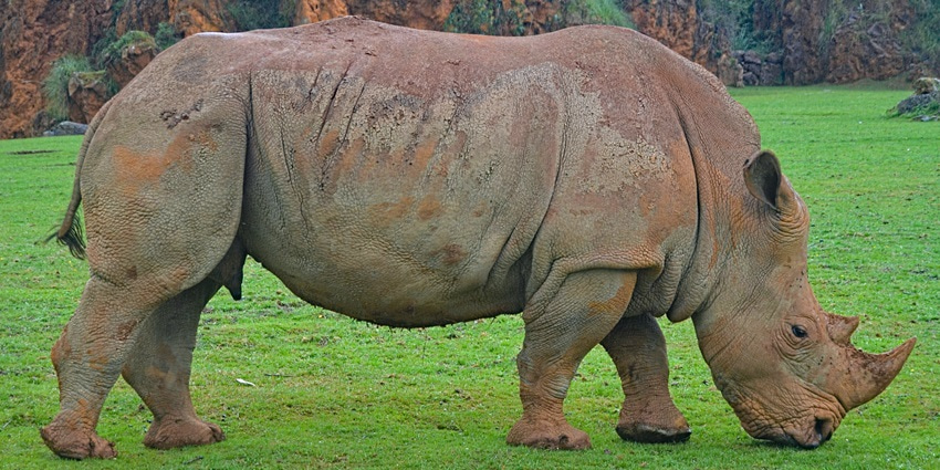 National Zoological Park is one of the most interesting places to visit for travellers.