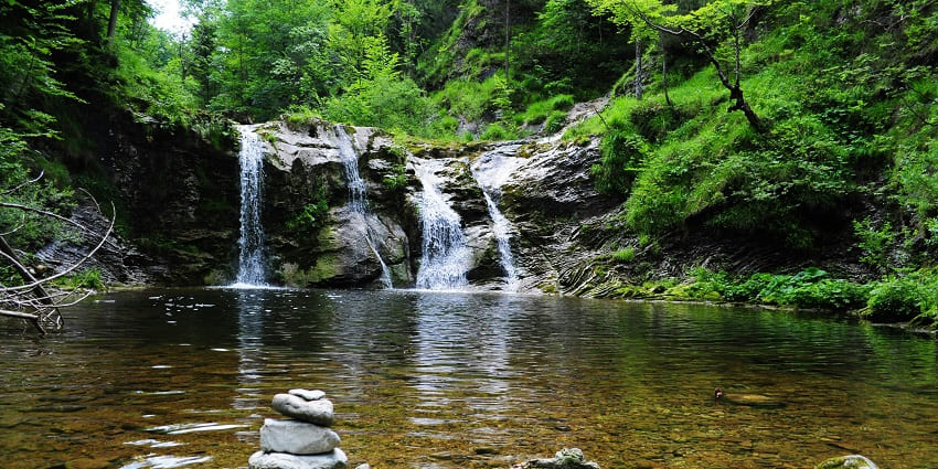 The beautiful image of a waterfall and the small water body amidst the dense forest