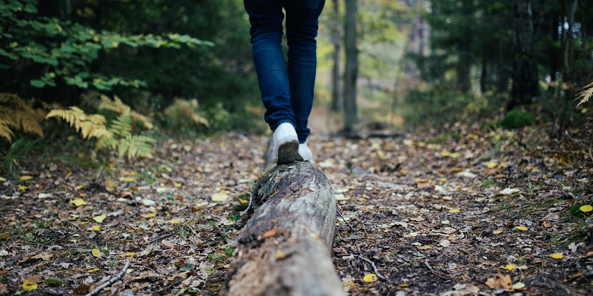 A picture of a person enjoying a walk in a forest amidst lush greenery and natural views.