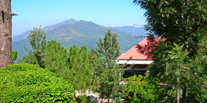 Nature walk amidst lush green hills is one of the best things to do in Parwanoo