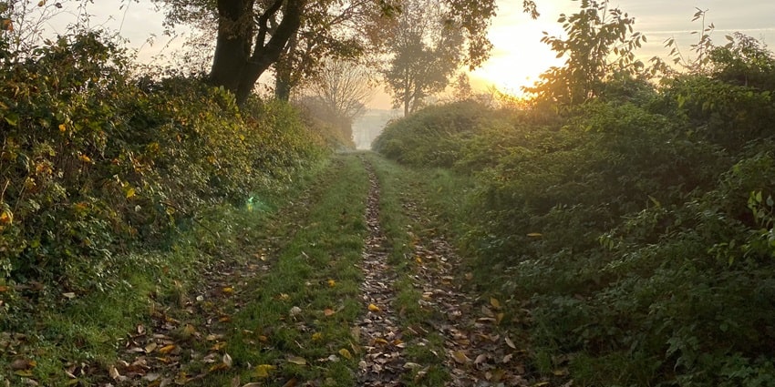 Enjoy the serene nature walks on your visit to Pobitora Wildlife Sanctuary, Assam, India.