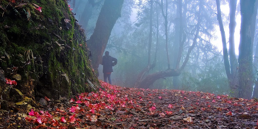 One of the most relaxing things to do in Khangchendzonga National Park