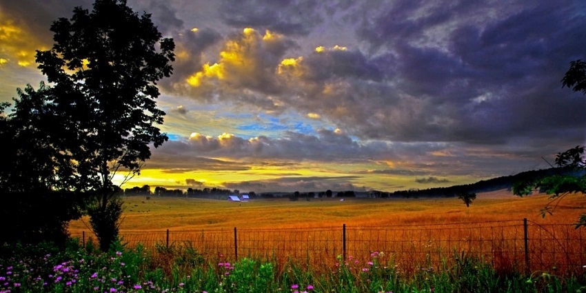 The backdrop of Fambong Lho Wildlife Sanctuary renders picturesque spots for people who love photography.