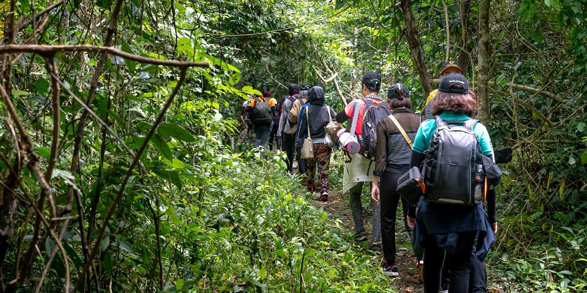 Snapshot of a group of tourists taking a walk in the thrilling Kane Wildlife Sanctuary