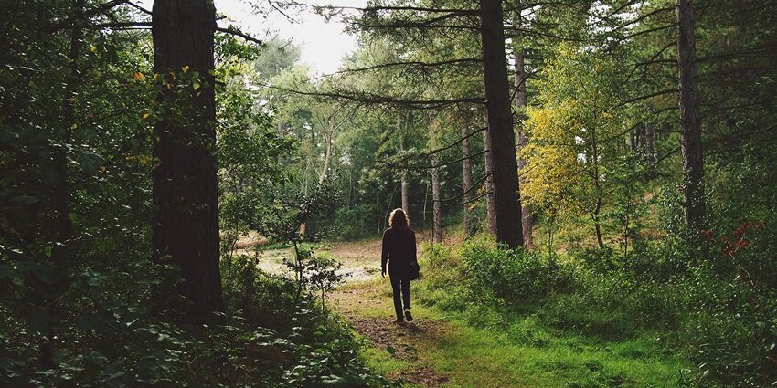 Nature walks can be as refreshing as fresh dew in the laps of Meghalaya’s foothills.
