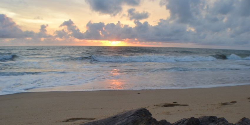 Negombo Beach with golden sands and palm trees, perfect for relaxation.