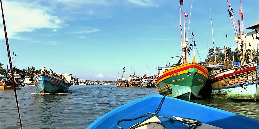 Negombo Lagoon, a natural harbour with tranquil waters and lush surroundings.