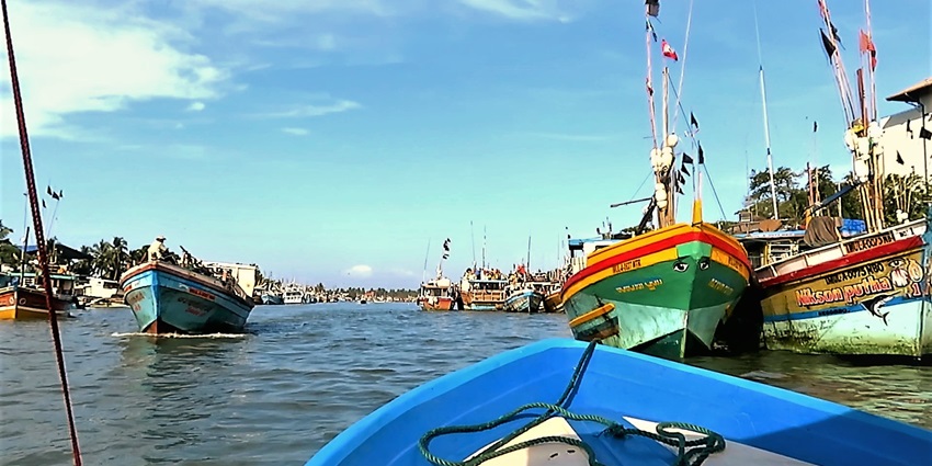 Scenic Negombo Lagoon, a natural harbour with tranquil waters and scenic views.