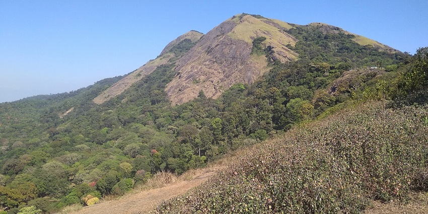 A panoramic view of the Nelliyampathy forests from Minnampara, showcasing hills, and lush greenery