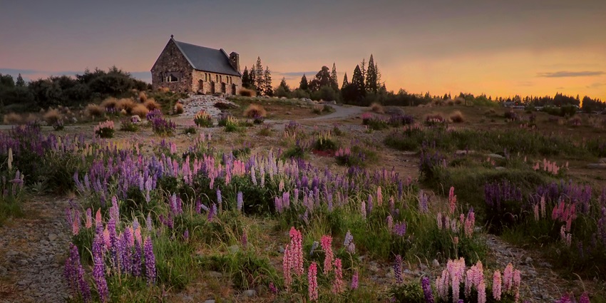 New Zealand is one of the most refreshing places to visit in spring in the world for all.