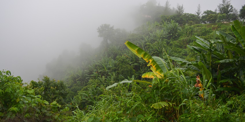 Nilachal Hill offers a unique experience that blends spirituality with adventure when launched from near this ancient pilgrimage.