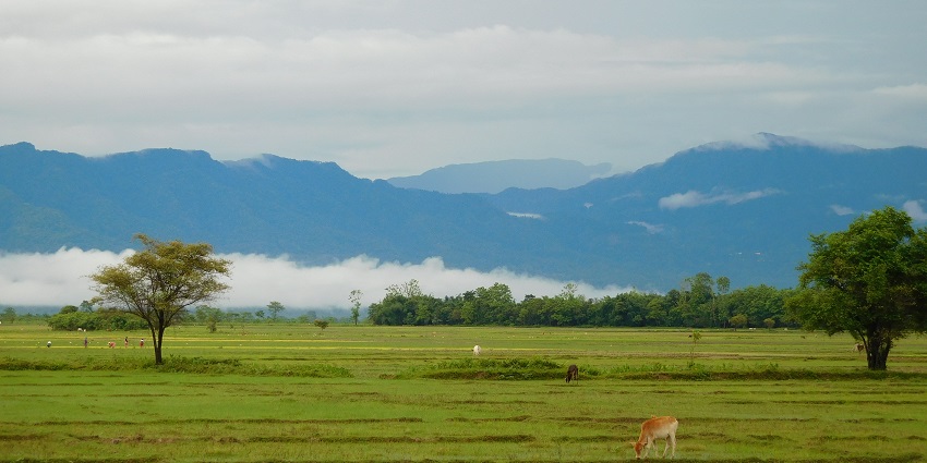 Nilachal Hills boasts scenic views that can be explored with trekking in Guwahati.