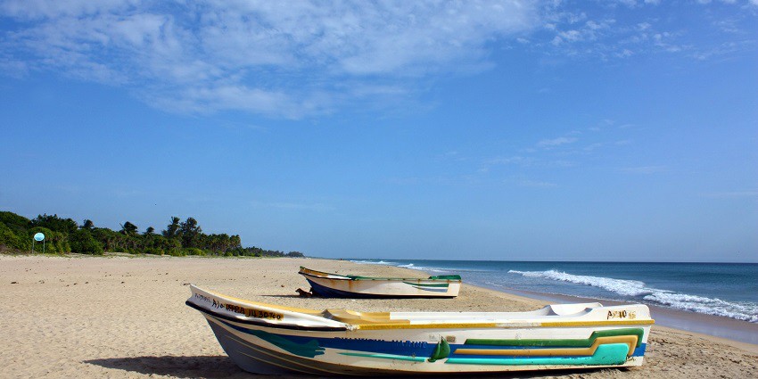 A serene view of Nilaveli Beach with soft waves, golden sand, and palm trees.
