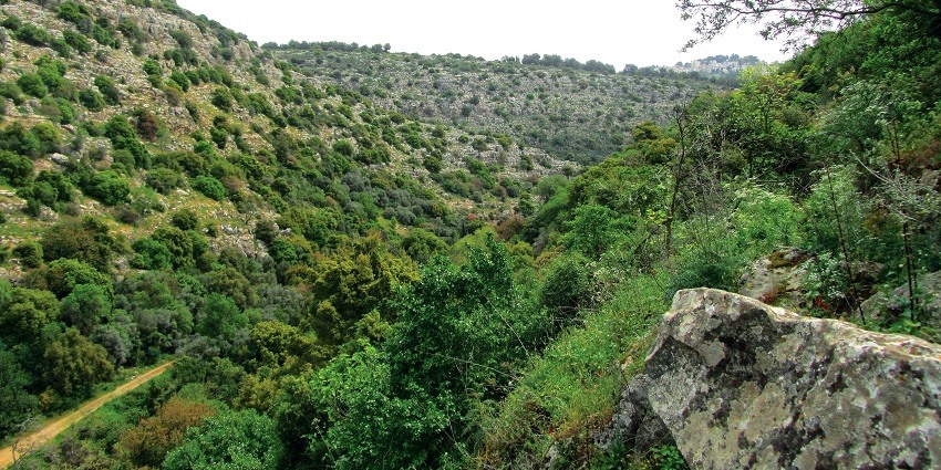 Niyamgiri Hills is one of the most pristine places to visit and explore for travellers.