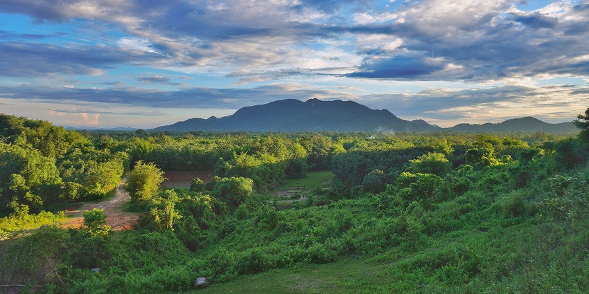 Witness the mesmerising natural beauty and lush greenery at Nizarapar on your next trip.