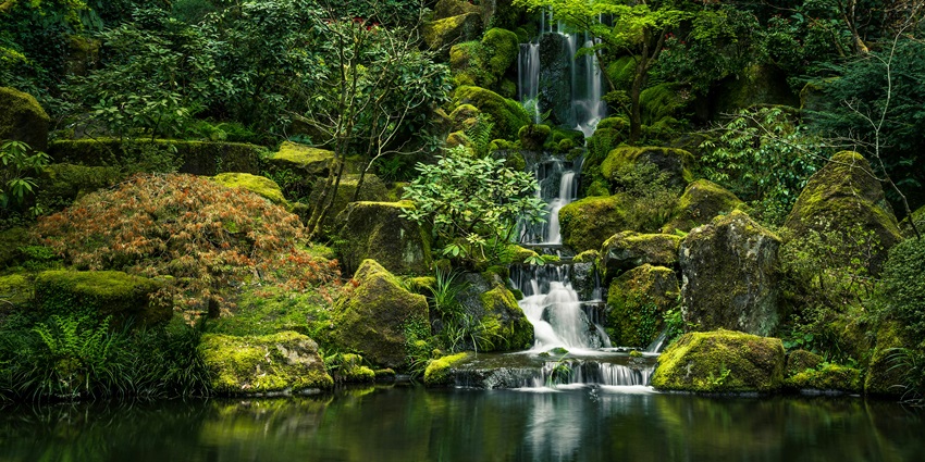 A picture of a quiet cascade of a waterfall surrounded by lush green terrains, located near the Anachadikuthu Waterfalls