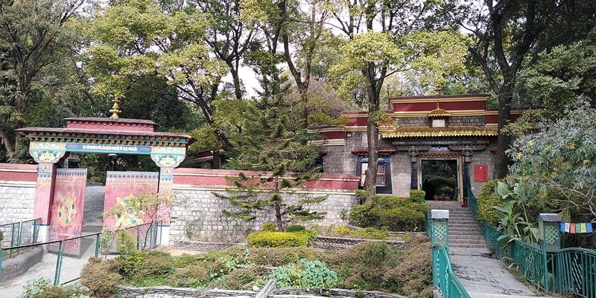 For history enthusiasts, this institute is a haven with its rich Tibetan culture and literature