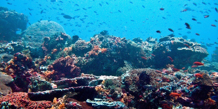 One of the best locations for snorkelling in Bali