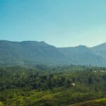 Panoramic view of the hills which is one of the best places to visit in Nuwara Eliya