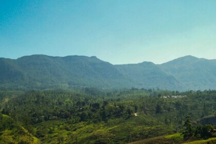 Panoramic view of the hills which is one of the best places to visit in Nuwara Eliya