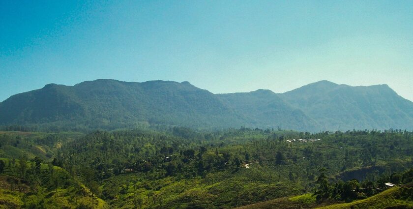 Panoramic view of the hills which is one of the best places to visit in Nuwara Eliya