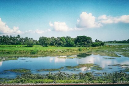 A breathtaking lush green view of grassland in Odisha with a stream of water flowing.