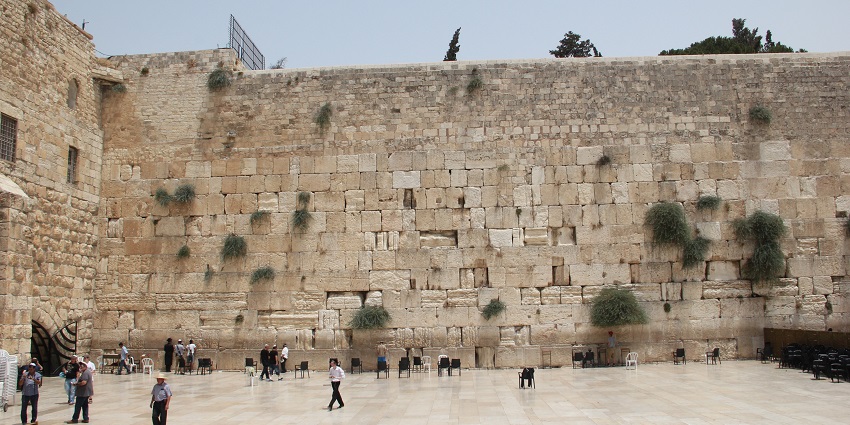 Learn about the history and culture of the city at the famous Old City Walls and Moats.
