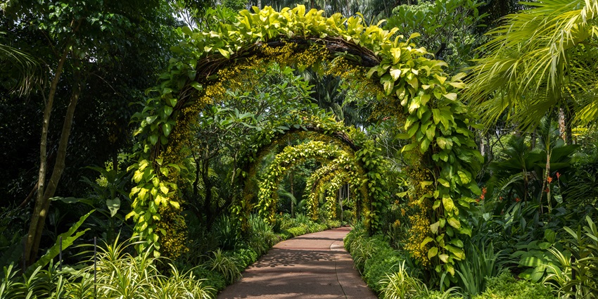 Alley lined with vegetated arches in the orchid garden of the beautiful Kaziranga