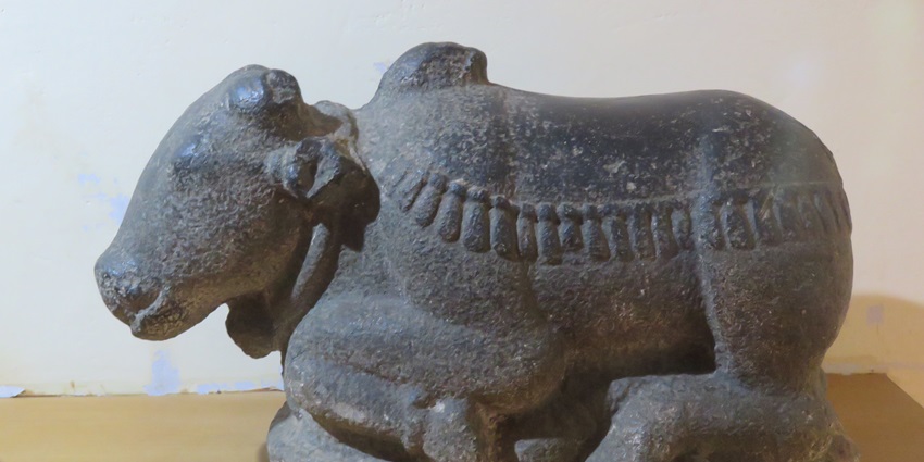 Scenic statuette of Nandi in the museum on display for the visitors to see and learn
