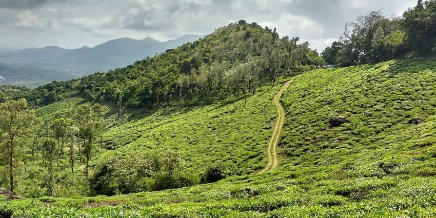 The view of breathtaking lush green hills at the Wayanad, located in the state of Kerala.