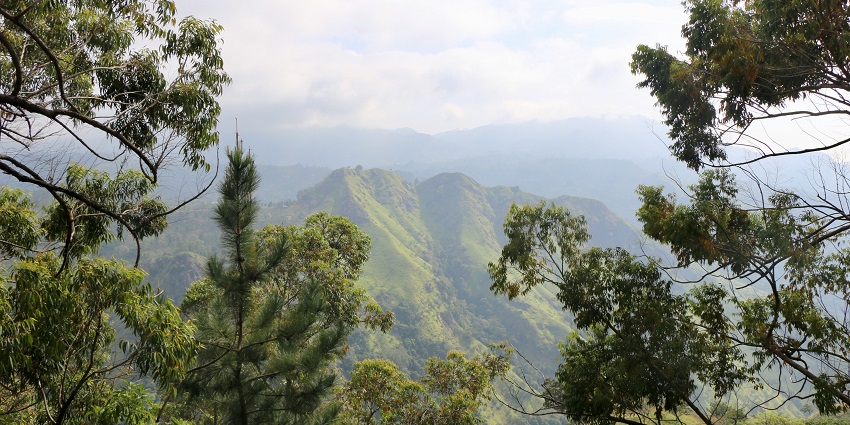 Tourists need to take care of a few important factors when visiting Yala National Park.