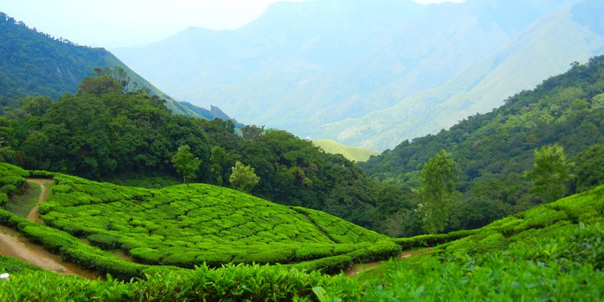 Tourists may consider the given factors before they plan their visit to Bekal Fort.