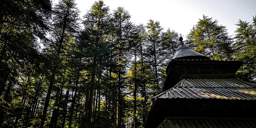 Pack all your essentials on your trip to the serene temple of Manali, Himachal Pradesh.