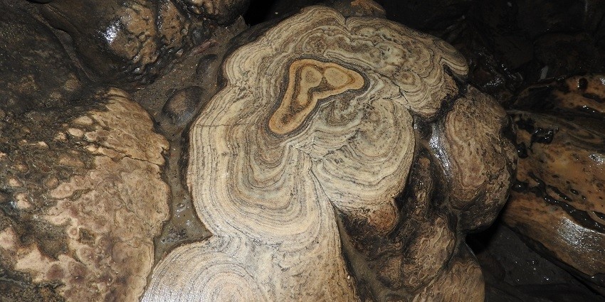 A rock in Mawsmai Caves showing the formation of limestones inside caves