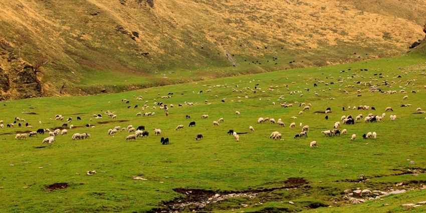 Pabbar Valley is one of the most enchanting places to visit in Naldehra for travellers.