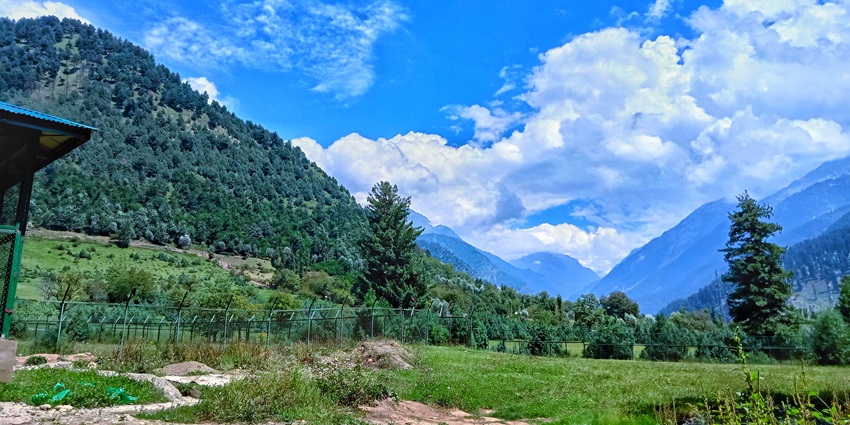 Image of Overa-Aru Wildlife Sanctuary also known as Pahalgam Wildlife Sanctuary