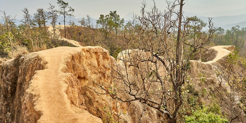 A picturesque view of the Pai Canyon surrounded by lush green trees and shrubs.