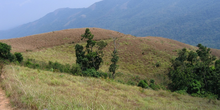 This bird sanctuary serves as a haven for avifauna enthusiasts wishing to spot rare species