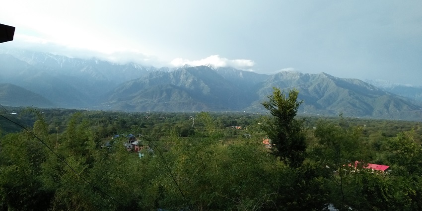 A mesmerising view of the lush green landscape with snow-clad mountains in the background