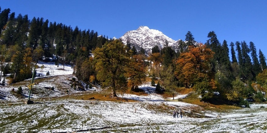 Palampur is one of the scenic and tranquil places to visit in Himachal Pradesh in October.