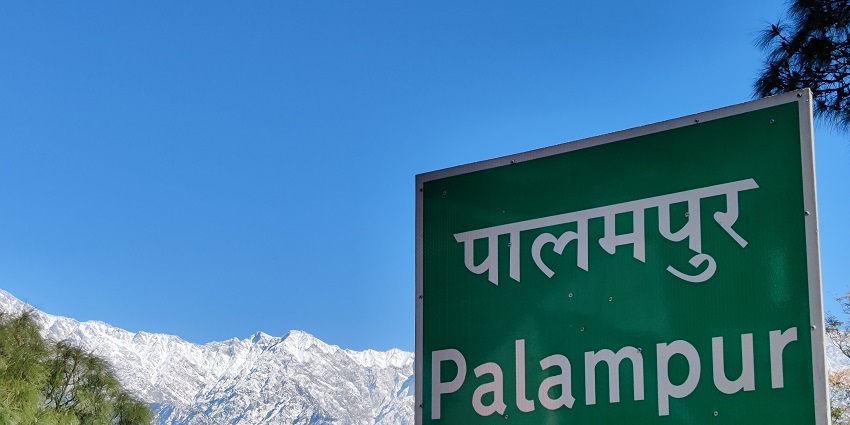 Scenic view of Palampur, showcasing lush greenery and the Himalayan backdrop.