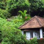 Seek blessings from the serene Panachikkadu Temple located in Kottayam district, Kerala.