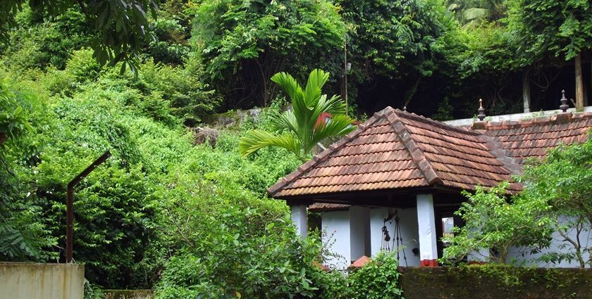 Seek blessings from the serene Panachikkadu Temple located in Kottayam district, Kerala.