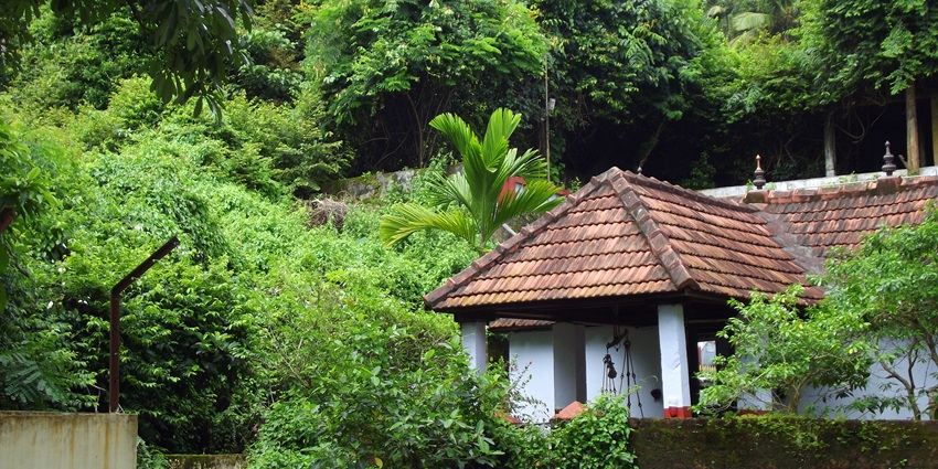 Panachikkadu Temple A Spiritual Place To Visit In Kerala TripXL