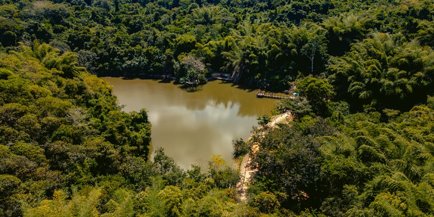 Aerial view of beautiful Forest reserve–Best things to do in Kaziranga national park