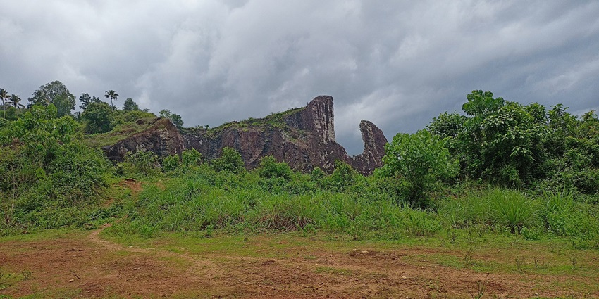 A picture of a forested area in Pandalam, which is one of the best places to visit near Perunthenaruvi Waterfalls