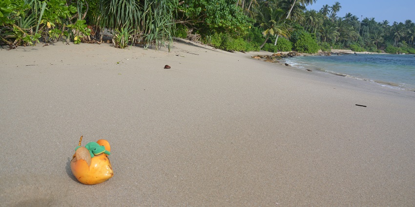 Get to explore this astonishing water attraction when the weather is apt for activities.
