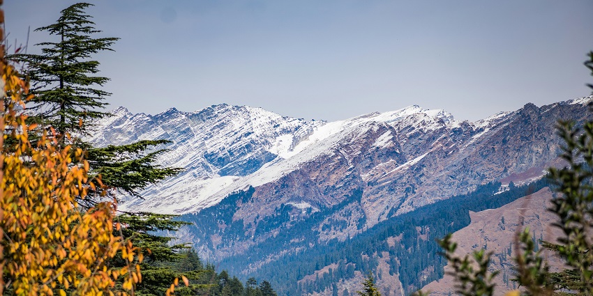 Lush forest at the foothills of snow covered Himalayan ranges offering an enchanting view