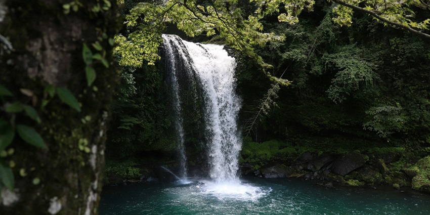 Papavinasanam Falls is believed to have healing properties which makes it popular.