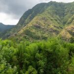 Beautiful image of the mount seraya and its forest for Paragliding Bali adventure